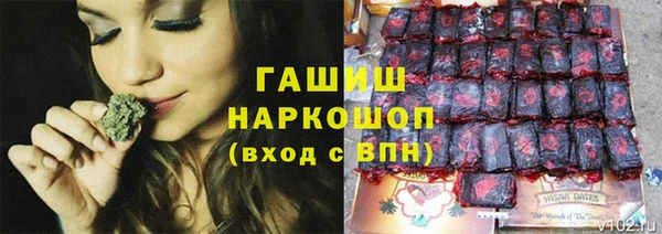 молекула духа Алзамай