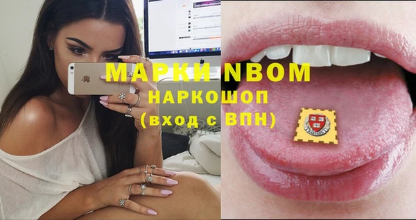 мет Алексин