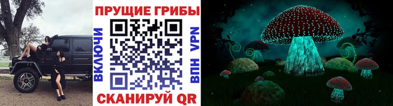 где найти наркотики  Мамоново  Псилоцибиновые грибы MAGIC MUSHROOMS 